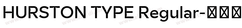 HURSTON TYPE Regular字体转换 HURSTON TYPE Regular字体转换